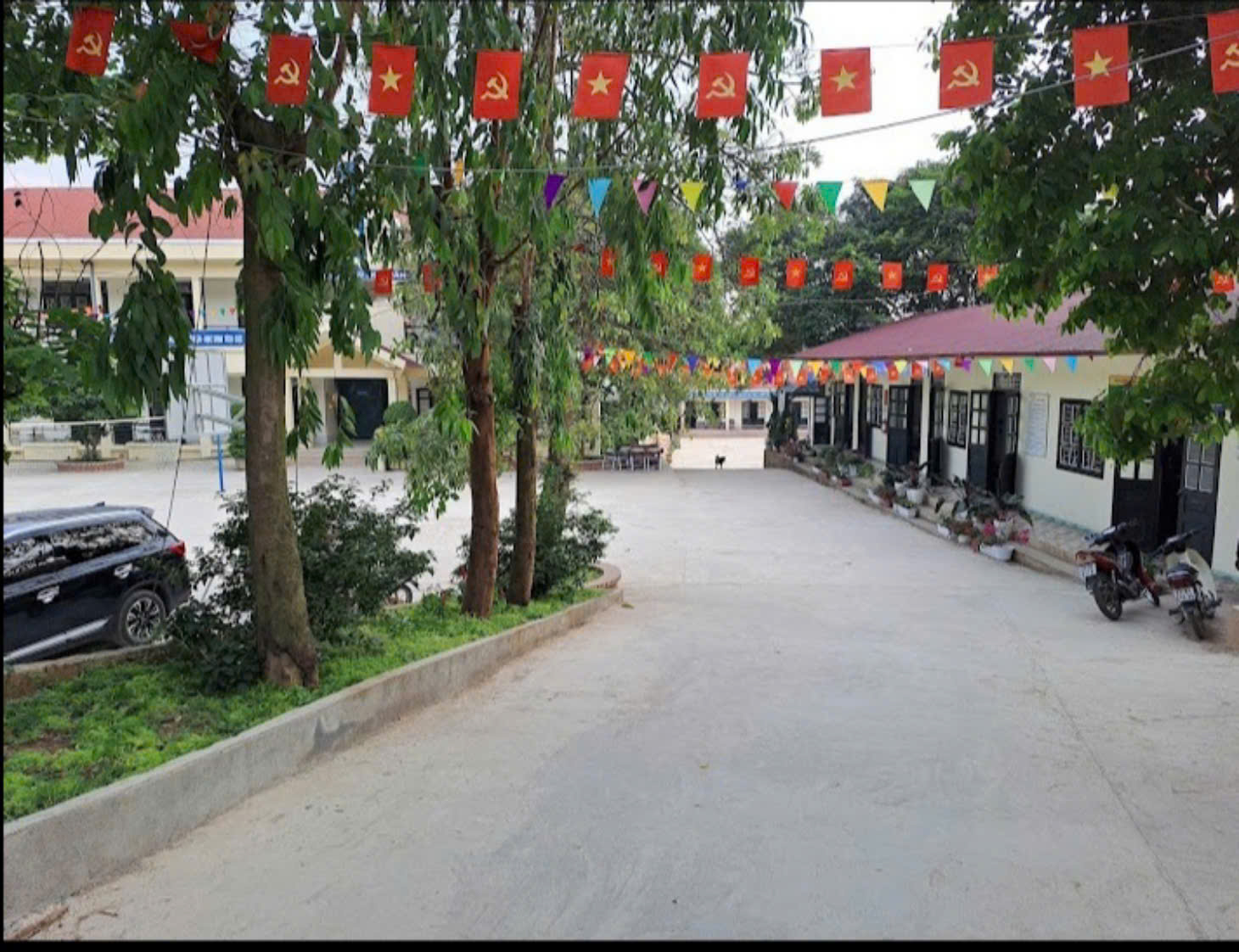 Ảnh trường